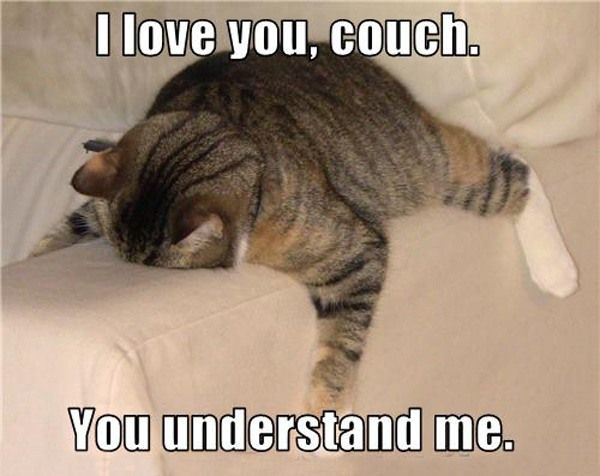Couch Cat 2